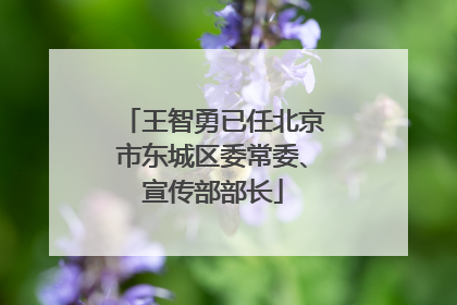 王智勇已任北京市东城区委常委、宣传部部长