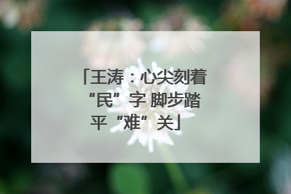 王涛：心尖刻着“民”字 脚步踏平“难”关