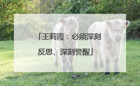 王莉霞：必须深刻反思、深刻警醒