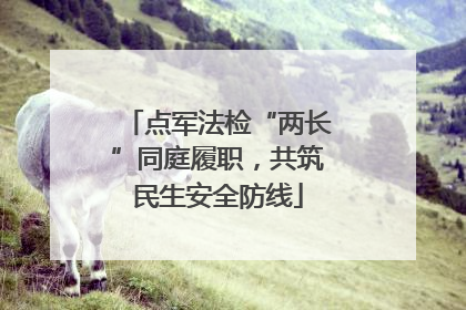 点军法检“两长”同庭履职，共筑民生安全防线