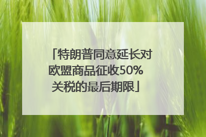 特朗普同意延长对欧盟商品征收50%关税的最后期限