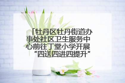 牡丹区牡丹街道办事处社区卫生服务中心前往丁堂小学开展“四送四进四提升”及无烟日宣传活动