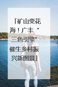 矿山变花海！广丰“三色引擎”催生乡村振兴新图景