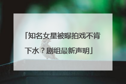 知名女星被曝拍戏不肯下水？剧组最新声明