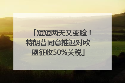 短短两天又变脸！特朗普同意推迟对欧盟征收50%关税