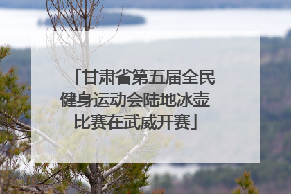 甘肃省第五届全民健身运动会陆地冰壶比赛在武威开赛