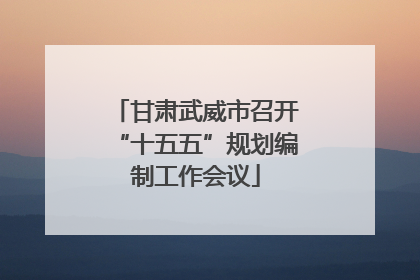 甘肃武威市召开“十五五”规划编制工作会议