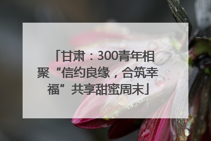 甘肃：300青年相聚“信约良缘，合筑幸福”共享甜蜜周末