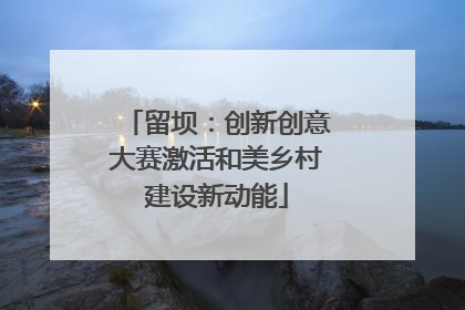 留坝：创新创意大赛激活和美乡村建设新动能