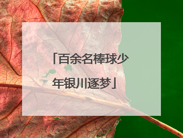 百余名棒球少年银川逐梦