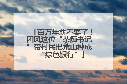 百万年薪不要了！团风这位“茶痴书记”带村民把荒山种成“绿色银行”