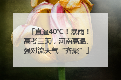 直逼40℃！暴雨！高考三天，河南高温、强对流天气“齐聚”