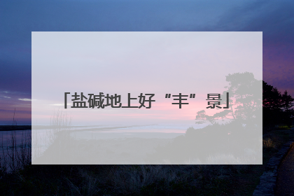 盐碱地上好“丰”景