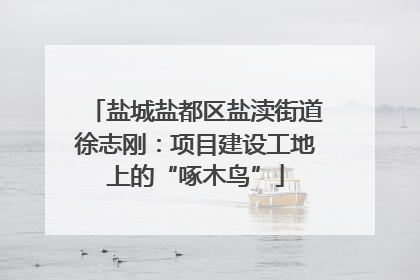 盐城盐都区盐渎街道徐志刚：项目建设工地上的“啄木鸟”