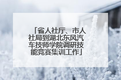 省人社厅、市人社局到湖北东风汽车技师学院调研技能竞赛集训工作