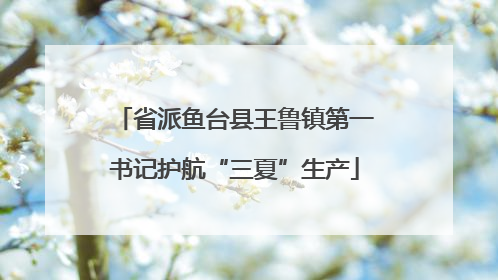省派鱼台县王鲁镇第一书记护航“三夏”生产