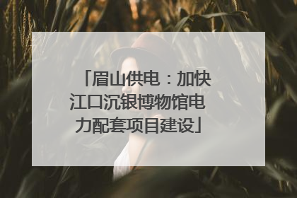 眉山供电：加快江口沉银博物馆电力配套项目建设