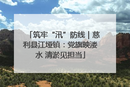 筑牢“汛”防线｜慈利县江垭镇：党旗映溇水 清淤见担当