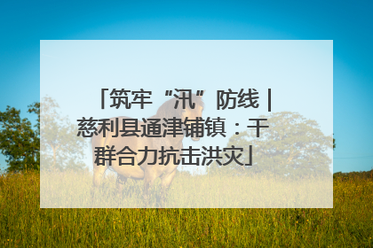 筑牢“汛”防线｜慈利县通津铺镇：干群合力抗击洪灾