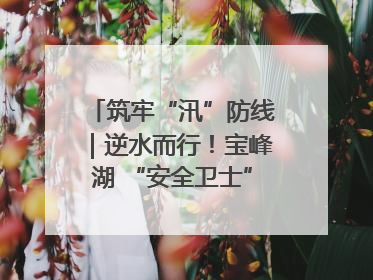 筑牢“汛”防线｜逆水而行！宝峰湖 “安全卫士” 出鞘 防汛应急再添硬核力量
