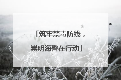 筑牢禁毒防线，崇明海警在行动