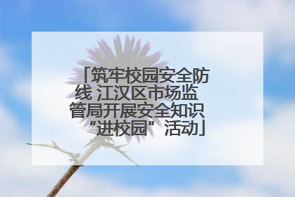 筑牢校园安全防线 江汉区市场监管局开展安全知识“进校园”活动