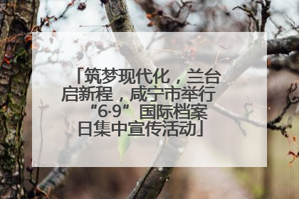 筑梦现代化，兰台启新程，咸宁市举行“6·9”国际档案日集中宣传活动