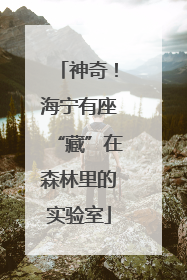 神奇！海宁有座“藏”在森林里的实验室