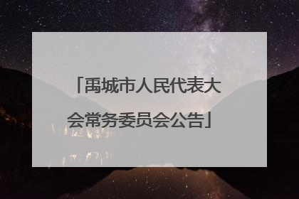 禹城市人民代表大会常务委员会公告