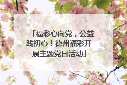福彩心向党，公益践初心！德州福彩开展主题党日活动