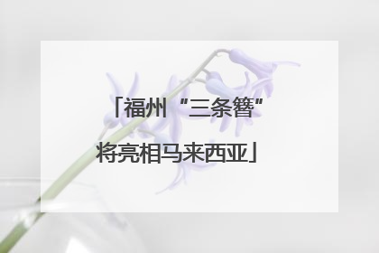 福州“三条簪”将亮相马来西亚