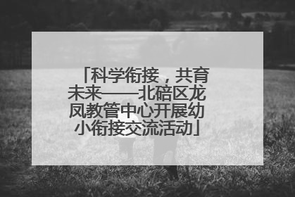 科学衔接，共育未来——北碚区龙凤教管中心开展幼小衔接交流活动