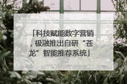 科技赋能数字营销，极融推出自研“苍龙”智能推荐系统