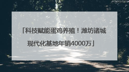 科技赋能蛋鸡养殖！潍坊诸城现代化基地年销4000万