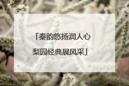 秦韵悠扬润人心 梨园经典展风采