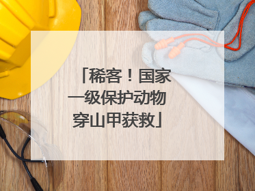 稀客！国家一级保护动物穿山甲获救