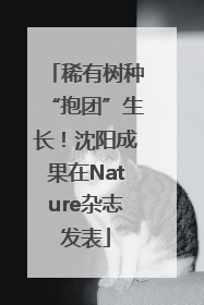 稀有树种“抱团”生长！沈阳成果在Nature杂志发表