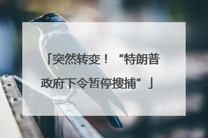 突然转变！“特朗普政府下令暂停搜捕”