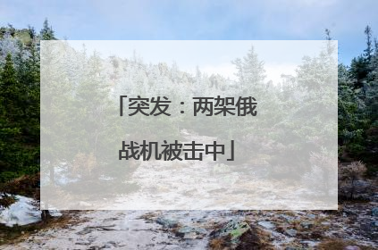 突发：两架俄战机被击中