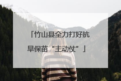 竹山县全力打好抗旱保苗“主动仗”