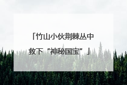 竹山小伙荆棘丛中救下“神秘国宝”