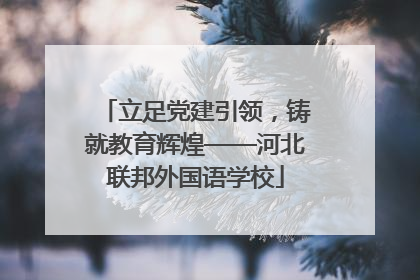 立足党建引领，铸就教育辉煌——河北联邦外国语学校