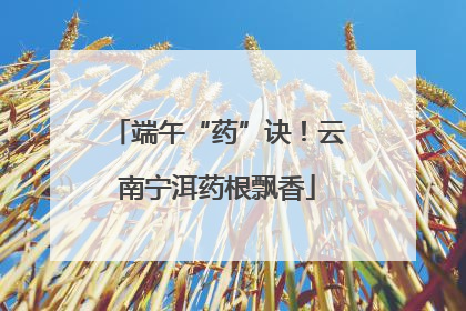 端午“药”诀！云南宁洱药根飘香
