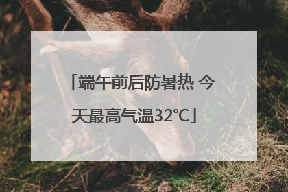 端午前后防暑热 今天最高气温32℃