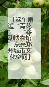 端午邂逅“青花”，“移动博物馆”点亮郑州城市文化空间