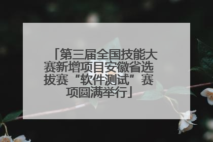 第三届全国技能大赛新增项目安徽省选拔赛“软件测试”赛项圆满举行