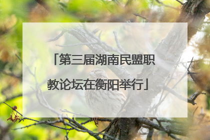 第三届湖南民盟职教论坛在衡阳举行