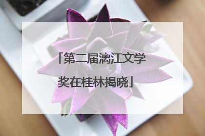 第二届漓江文学奖在桂林揭晓