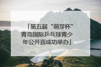 第五届“萌芽杯”青岛国际乒乓球青少年公开赛成功举办