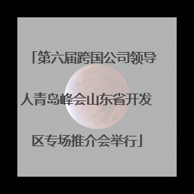 第六届跨国公司领导人青岛峰会山东省开发区专场推介会举行